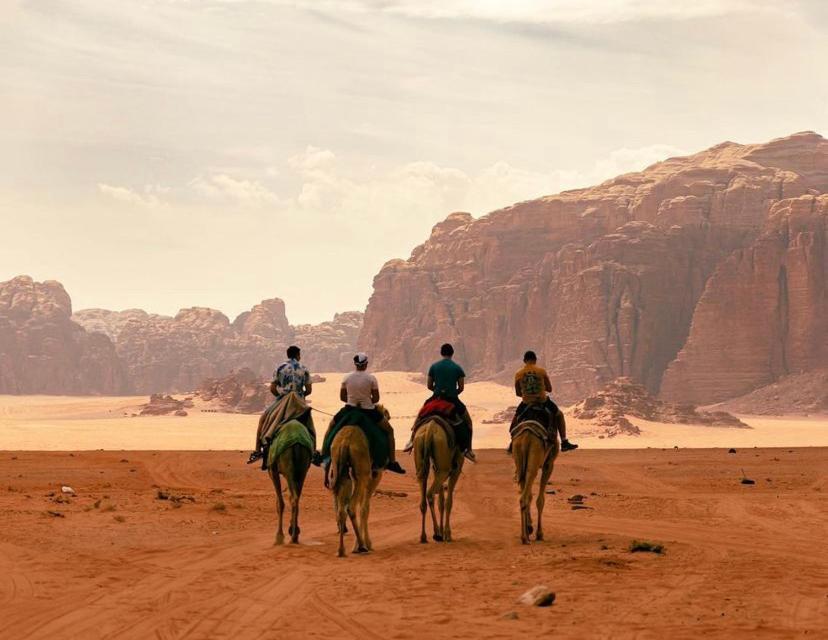 Wadi Travel Camp *