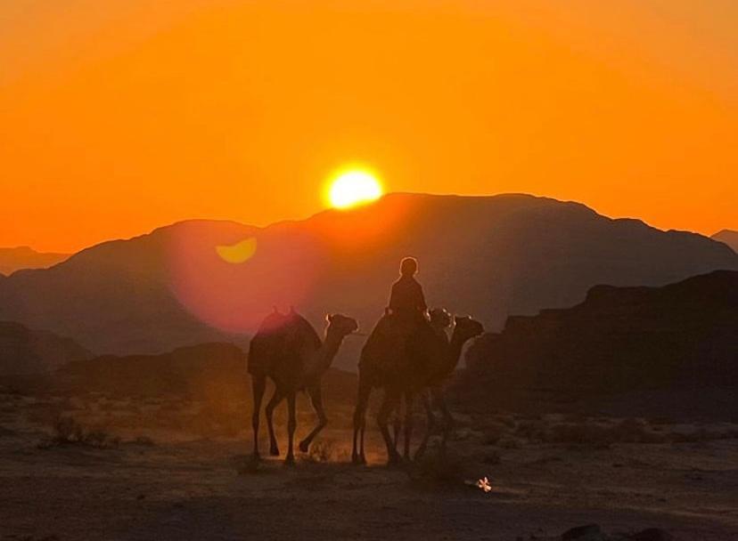 Wadi Travel Camp