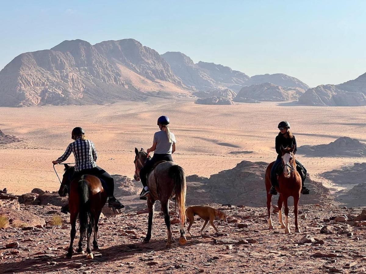 Wadi Travel Camp
