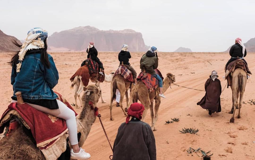 Wadi Travel Camp *