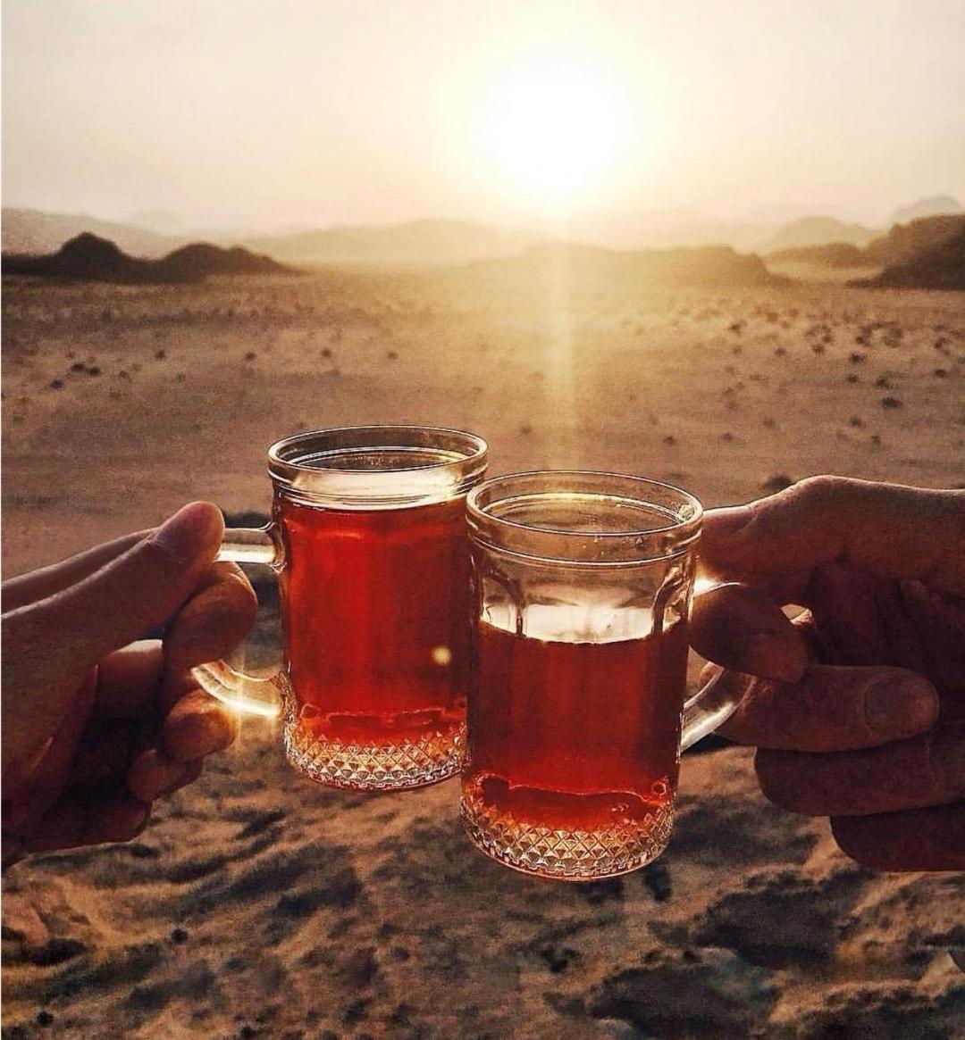 Wadi Travel Camp Campsite *